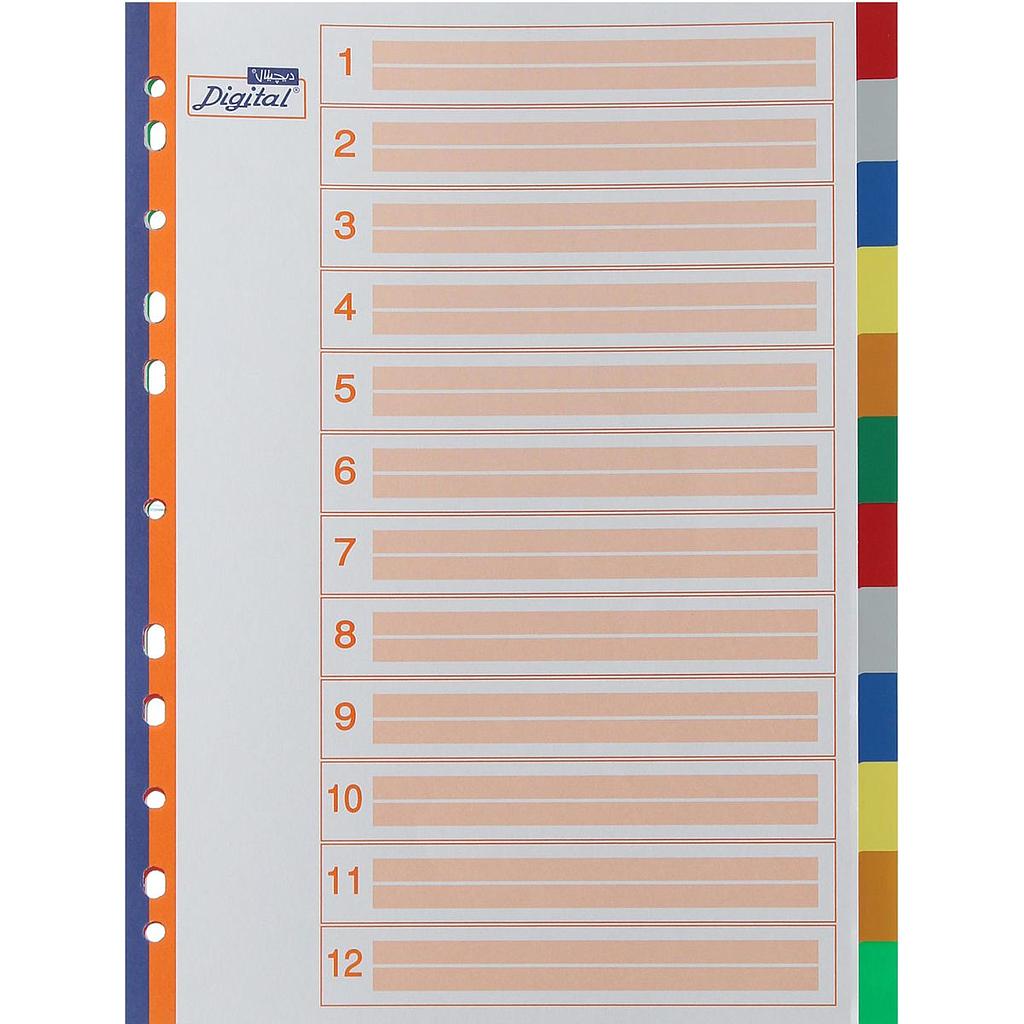 Digital  Plastic Colored Dividers - 12 Dividers