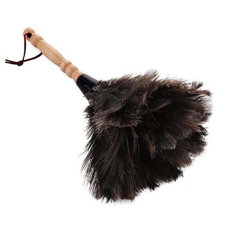 Feather Cleaning Brush