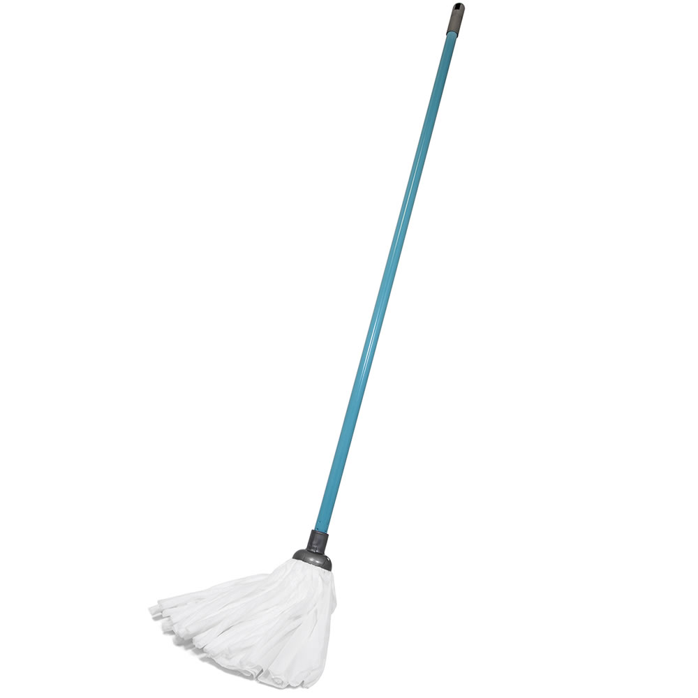 Mop With Handle